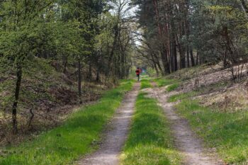 Running trail